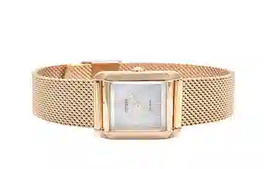 CITIZEN 22mm EW5593-64D