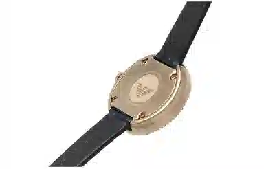 EMPORIO ARMANI AR11434