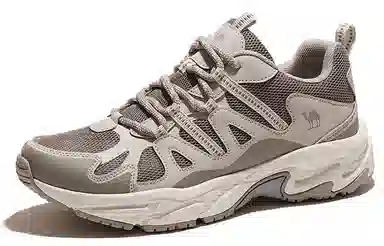 CAMEL Hiking Shoes