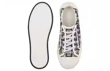 DIOR Walk'n'Dior Oblique