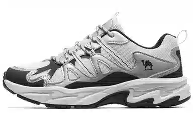 CAMEL Hiking Shoes