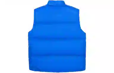 GUCCI x THE NORTH FACE Logo