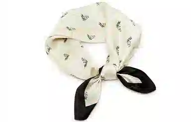 纳兰杜 经典印花设计感精致薄款高级感礼盒装时尚穿搭 丝巾 女款