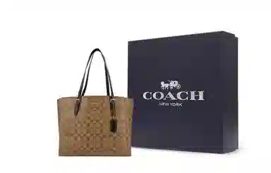 COACH Mollie 34 Tote