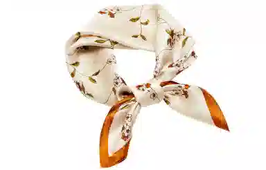 纳兰杜 优雅气质韩版高级感通勤装饰妈妈配饰设计感减龄礼盒装 桑蚕丝 丝巾 女款 米黄色