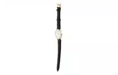 LONGINES 34.5mm L4.809.5.12.0