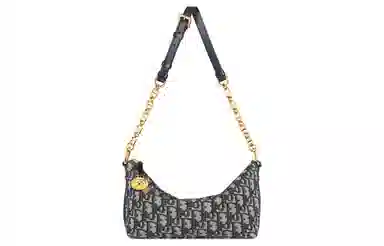 DIOR Diorstar Hobo Oblique