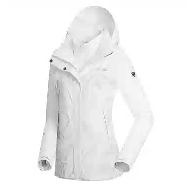 NORTHLAND PROFESSIONAL