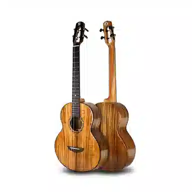 BRIGHT SUN () Baritone(30)