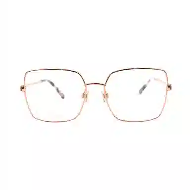 Swarovski Optical Frame