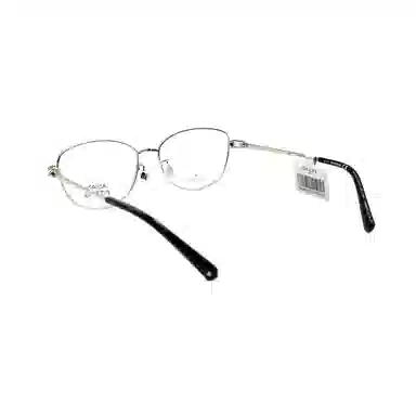 Swarovski Optical Frame
