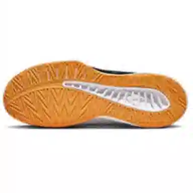 Mizuno