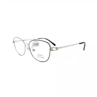 Swarovski Optical Frame