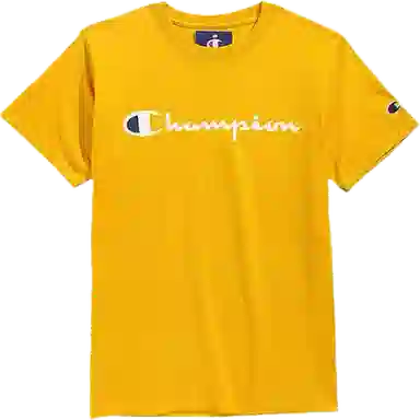 Champion T 2