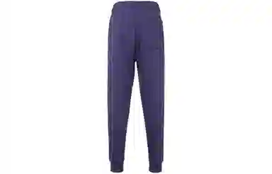 Jordan Logo Joggers Purple