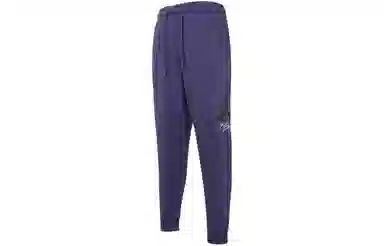 Jordan Logo Joggers Purple