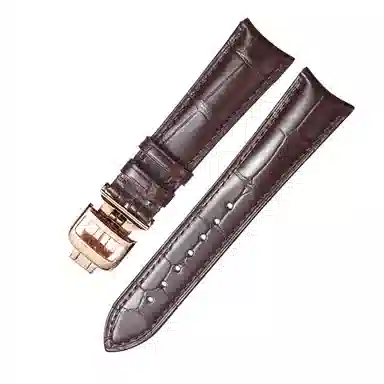 shirui 2023 1918 699