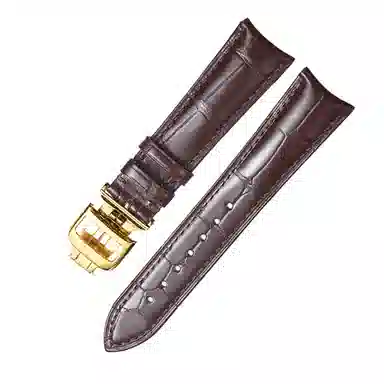 shirui 2023 1918 699