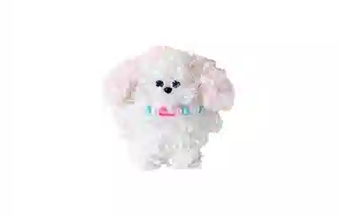 Q 10cm