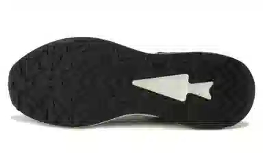 DESCENTE