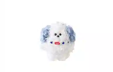 Q 10cm