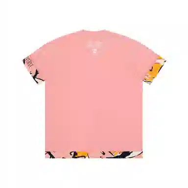 Aape T
