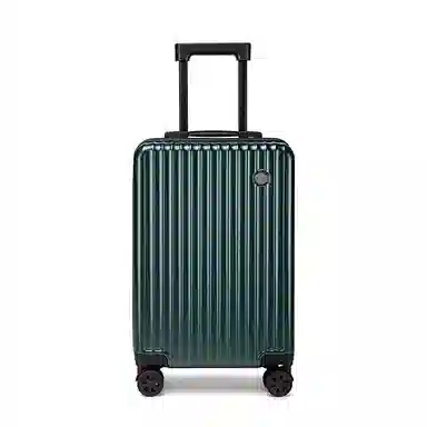 CORALDAISY PC 20242622