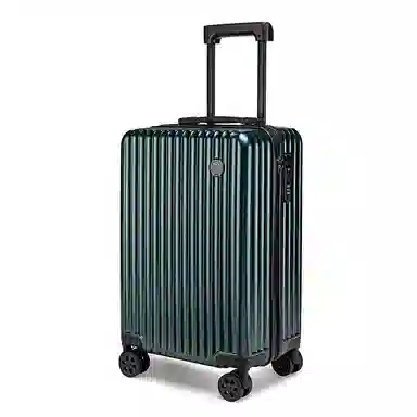 CORALDAISY PC 20242622