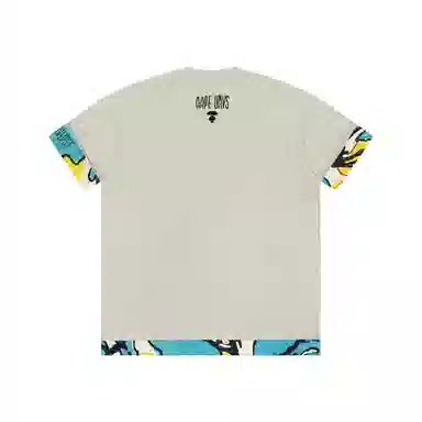 Aape T