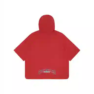 Aape T