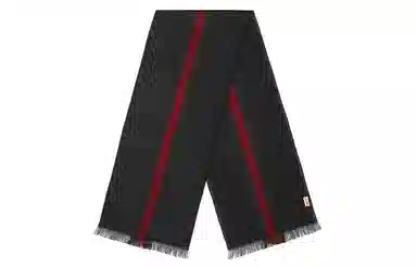 Gucci Scarf