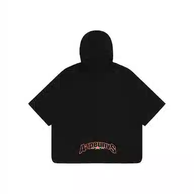 Aape T
