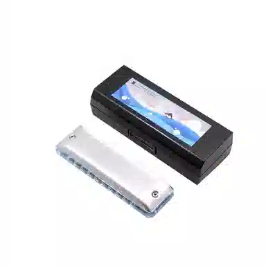 BOOGIEMAN Dophin( 10(Blues)