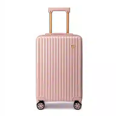 CORALDAISY PC 20242622