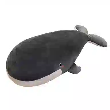 50cm80cm100cm120cm150cm