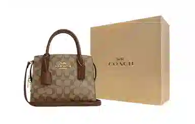 COACH Andrea Carryall 22