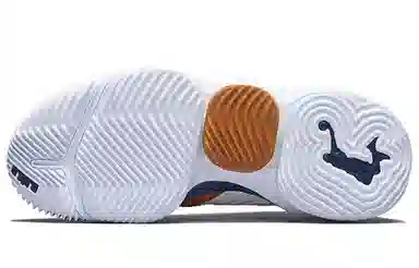 Nike Lebron 16 Air Trainer Low White