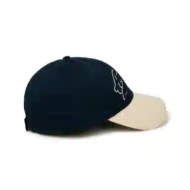 Aape Cap