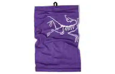 Arcteryx Logo Scarf