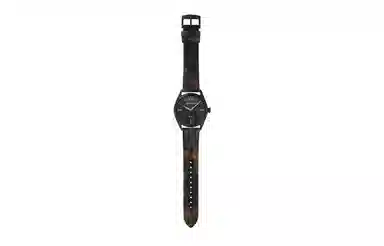 Emporio Armani AR80056