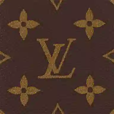 Louis Vuitton Marco Wallet