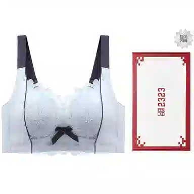 二三二三 聚拢无钢圈收副乳性感调整型蕾丝上托下垂无痕全罩杯抗菌透气文胸 女款 礼盒装