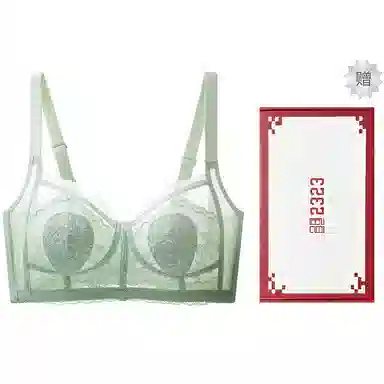 二三二三 无痕舒适内衣女士超薄款兔子耳朵全罩杯收副乳防下垂防走光聚拢无钢圈文胸 女款 礼盒装