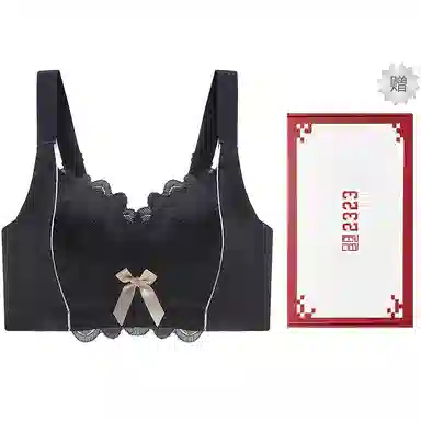 二三二三 聚拢无钢圈收副乳性感调整型蕾丝上托下垂无痕全罩杯抗菌透气文胸 女款 礼盒装