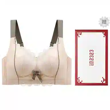 二三二三 聚拢无钢圈收副乳性感调整型蕾丝上托下垂无痕全罩杯抗菌透气文胸 女款 礼盒装