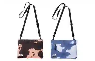 Supreme The North Face Week 17 Logo