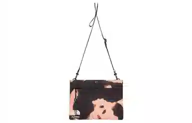 Supreme The North Face Week 17 Logo