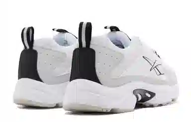 Reebok DMX Series 2200
