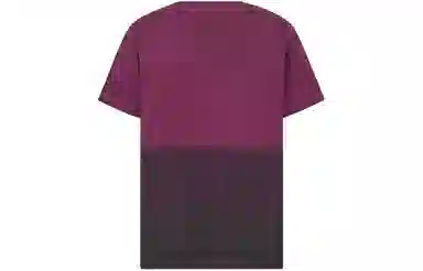 DIOR T