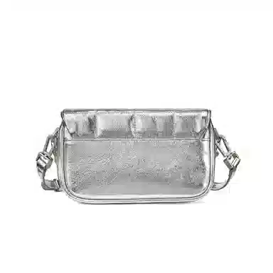 红蜻蜓 通勤小香风菱格链条百搭 牛皮拼超纤合成革 斜挎包 女款 黑色/银色